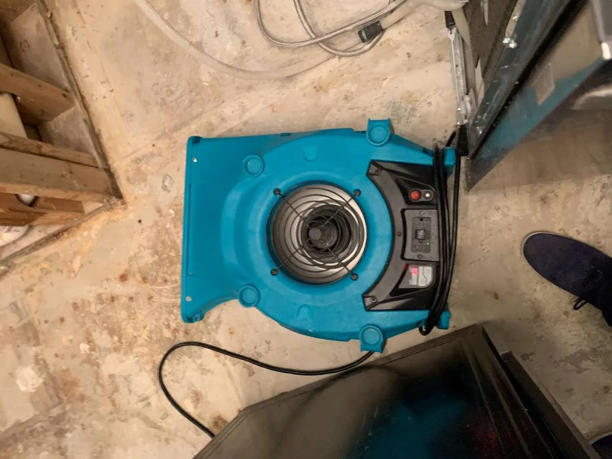 Air mover drying equipment for Mold Remediation & Removal in Richmond